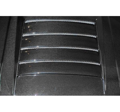 CAPO CARBONO NISSAN SKYLINE R34 GT-T CON TOMA