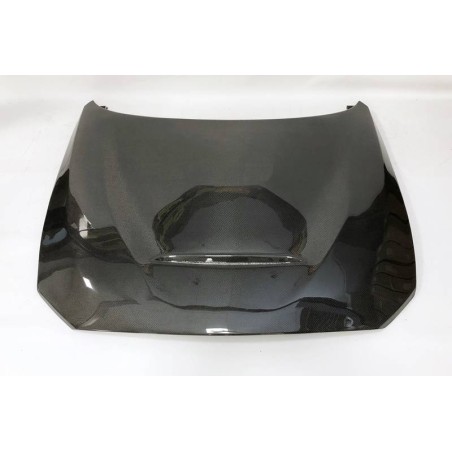 Capó Carbono Bmw F20/F21 2012-2019  /  F22/F23 2014+ Look M3 / F87 Look GTS