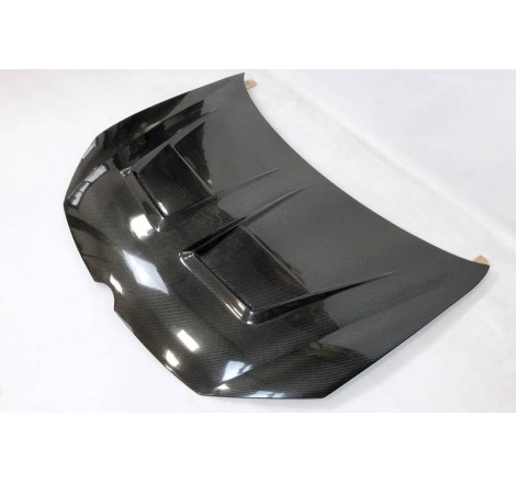 Capó Carbono Volkswagen Golf 6