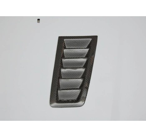 capo de fibra FORD FOCUS RS 12