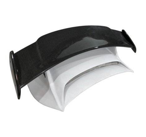 PORTELLONE PORSCHE 911 2011 CON ALETTONE CARBONIO PORTELLONE PORSCHE 911 2011 CON ALETTONE CARBONIO