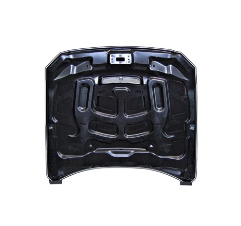 Bonnet Ford Mustang 2015-2017 look GT350 Aluminum