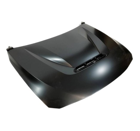 Bonnet BMW F30/F31/F32/F33/F36 Look CS