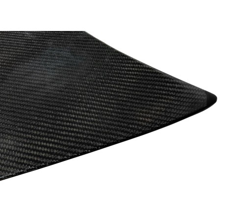Portón Carbono BMW E46 99-05 2P/ E46 Look M3 CSL