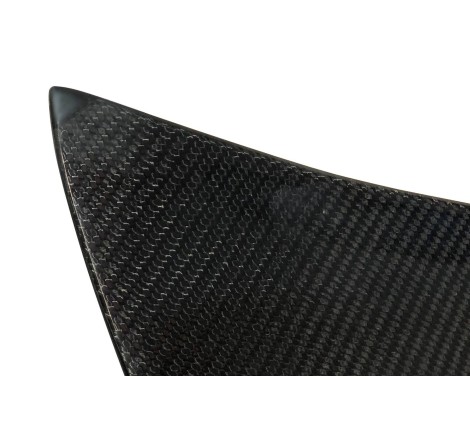 Portón Carbono BMW E46 99-05 2P/ E46 Look M3 CSL