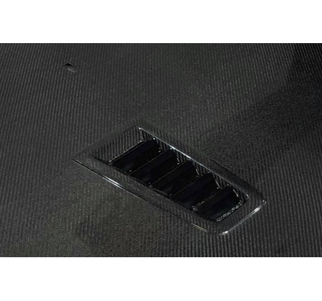 Capó Carbono Ford Focus 2008-2011 RS C/T