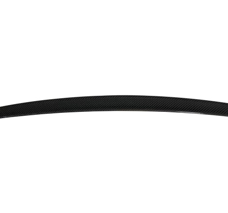 Alerón BMW F10 10-16 M5 Carbono