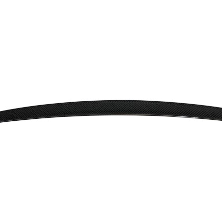 Alettone BMW F10 10-16 M5 Carbonio