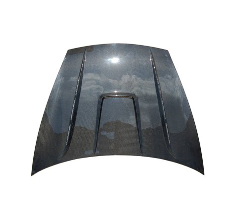 CAPO CARBONO PORSCHE CAYENNE 2009-2010