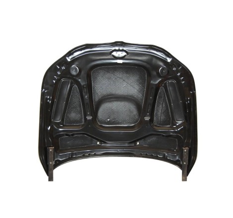 Cofano Carbonio BMW E60 / E61C/T Look M5