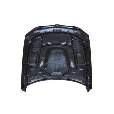 Capó Carbono BMW E92 / E93 Look M3 GTR