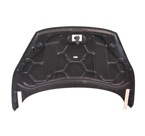 Cofano Carbonio Ford Fiesta '13 C/T