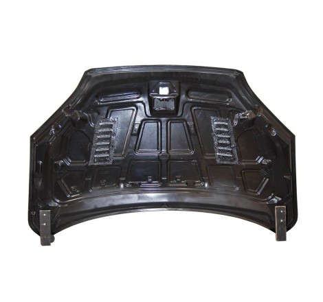 Capó Carbono Ford Focus 2005-2007 C/T RS