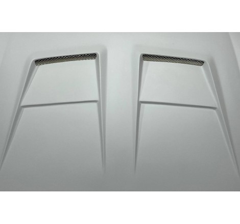 Cofano Fibra Volkswagen Golf 6