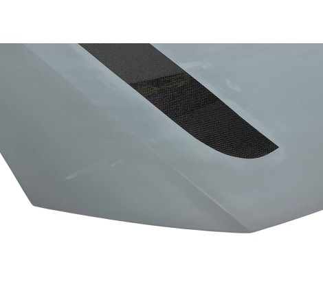 Capó De Fibra y carbono Audi A6 C8 Look GT