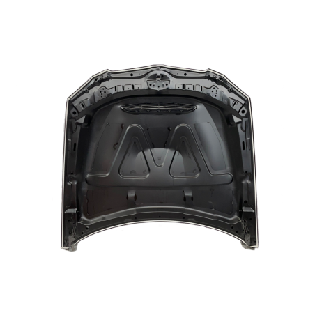 Cofano BMW E92 / E93 10-13 LCI Look GTS Metal