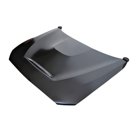 Cofano BMW F20/F21 12-19 F22/F23 2014+ F87 M2 Look GTS Metal