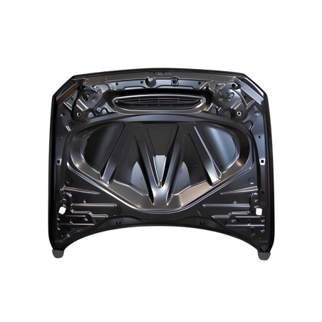 Cofano BMW F20/F21 12-19 F22/F23 2014+ F87 M2 Look GTS Metal