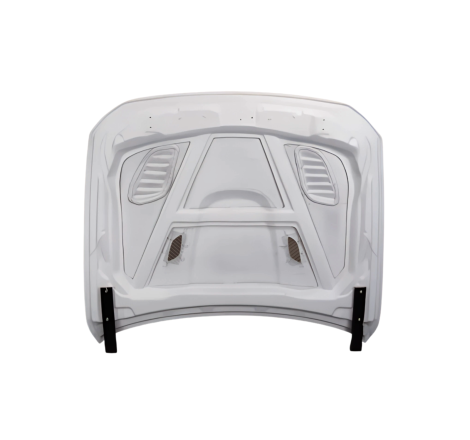 Cofano Fibra BMW F10 look GTR