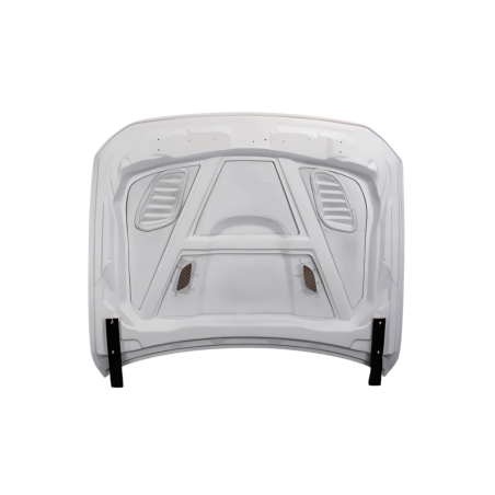 Fibreglass Bonnet BMW F10 look GTR
