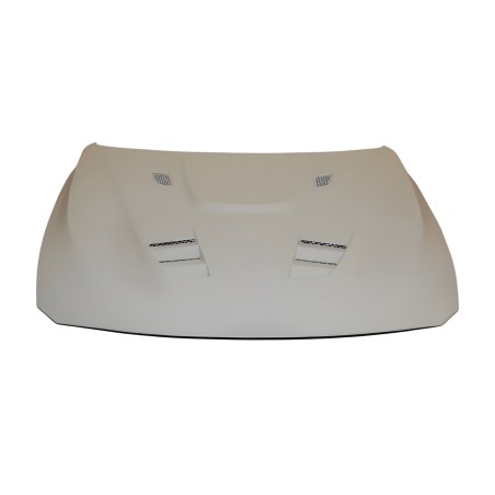 Capó Fibra BMW F30 / F31 / F32 / F33 / F36 Look M4 Con Toma