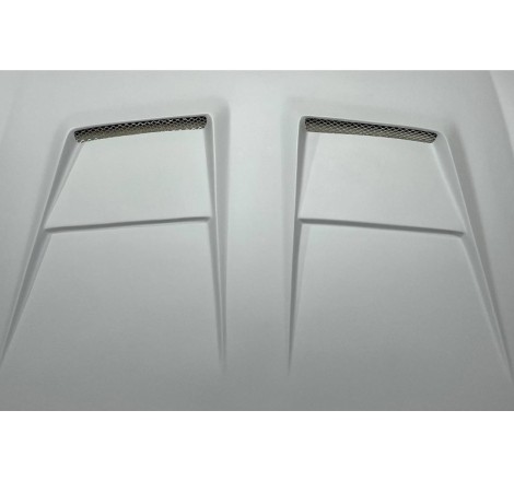 Body Kit Volkswagen Golf 6 look R20 Bonnet