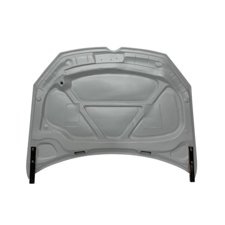 Body Kit Volkswagen Golf 6 look R20 Bonnet