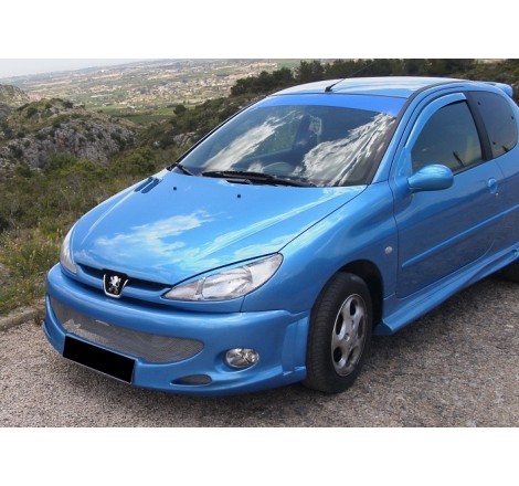 Paraurti Anteriore Peugeot 206 GT