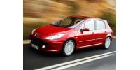 Peugeot 307 Tuning Shop